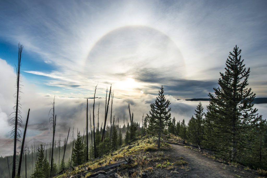 LANDSCAPES HIGHLY HONORED: PROFESSIONAL Garret Surie of Los Angeles, California, climbed a bluff overlooking Grand Prismatic Spring to capture this image. “At sunrise, I witnessed a 22 degree halo, a phenomenon in which light refracted in suspended ice particles creates a ring around the sun,” he said.  