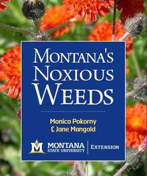 MSU Extension Noxious Weed Identification Now Available For Mobile ...