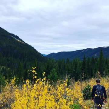 Life & Land From the Heart of the Yellowstone Region.