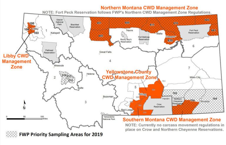 Managing chronic wasting disease  Explore Big Sky