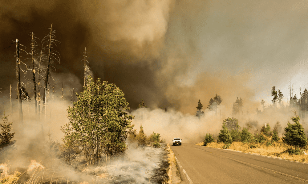 Bear Creek Fire grows in Idaho Explore Big Sky