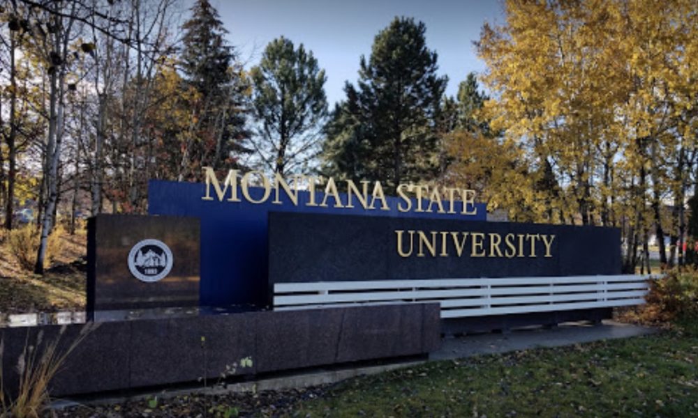 MSU students prepare for winter break Explore Big Sky