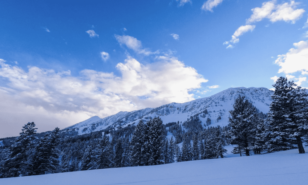 Bridger Bowl opening December 21 Explore Big Sky