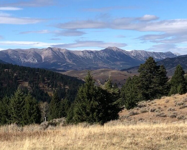 Body Of Missing Bozeman Hunter Found Near Truman Gulch 