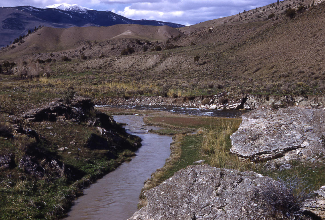 Yellowstone National Park: Nonnative brook trout discovered in Soda Butte  Creek in park | Explore Big Sky