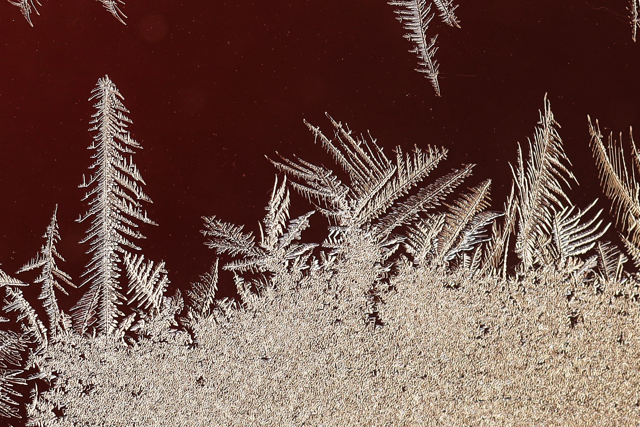 Video: How does frost form? - It's a chilly, crisp and frosty