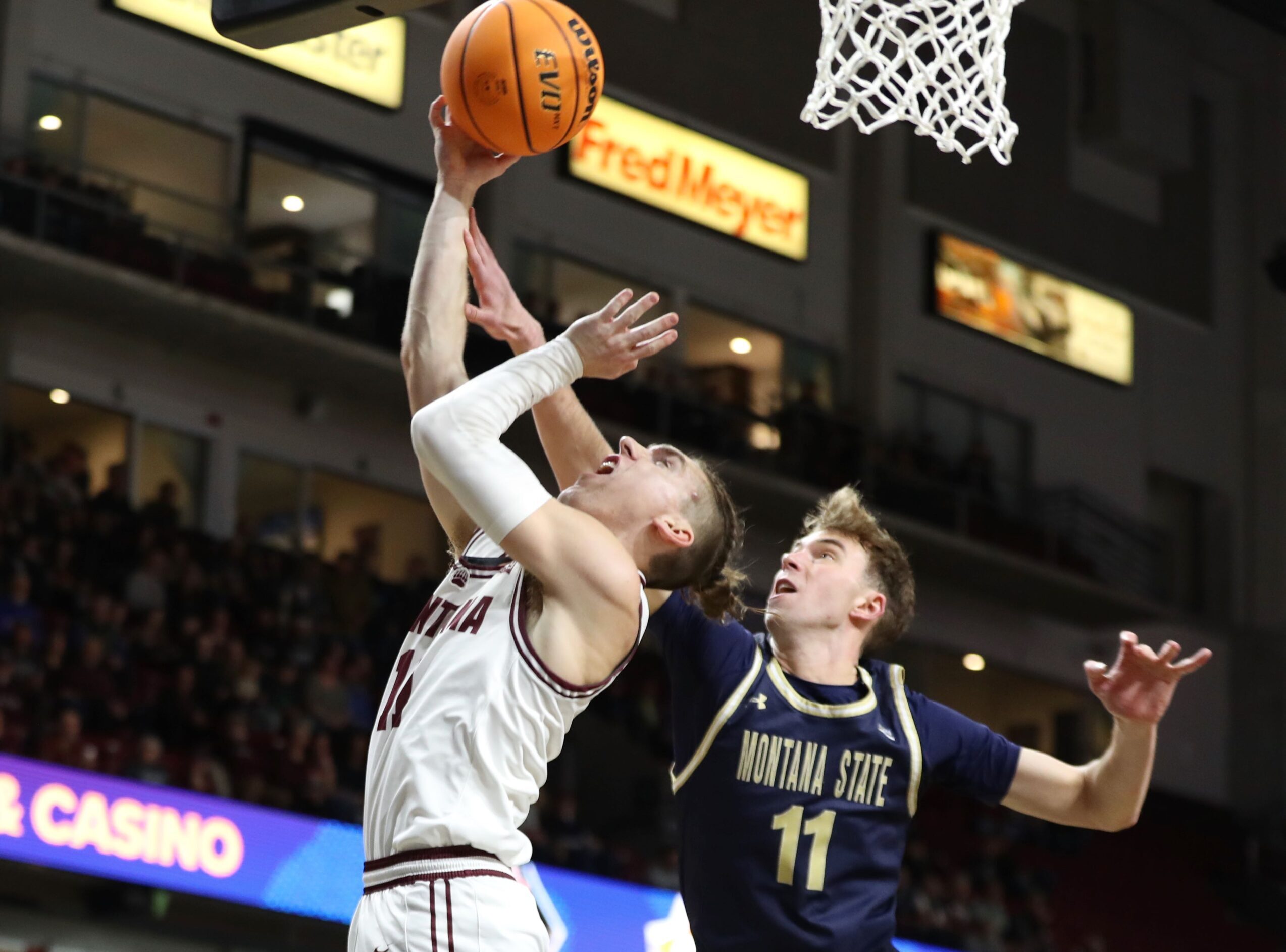 Montana deals grizzlies basketball