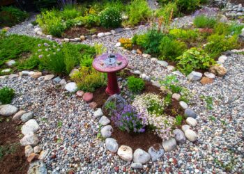 Home in Big Sky utilizing native plants and water-wise landscaping for the benefit of wildlife and water conservation. PHOTO COURTESY OF ALPENSCAPES